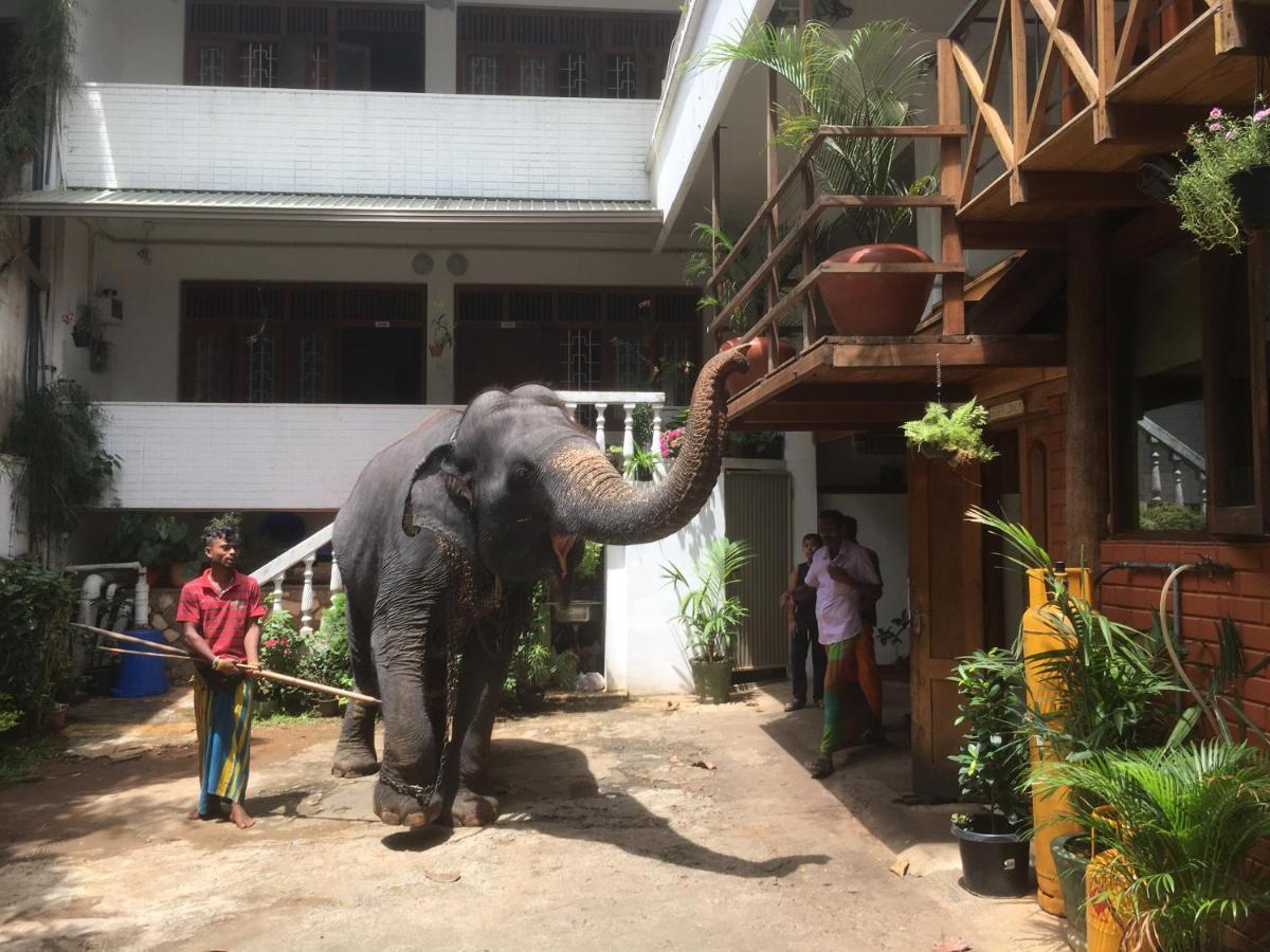 Hotel Mango Garden Kandy Bagian luar foto
