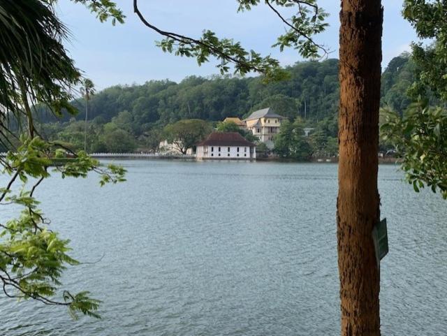 Hotel Mango Garden Kandy Bagian luar foto