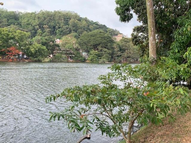 Hotel Mango Garden Kandy Bagian luar foto